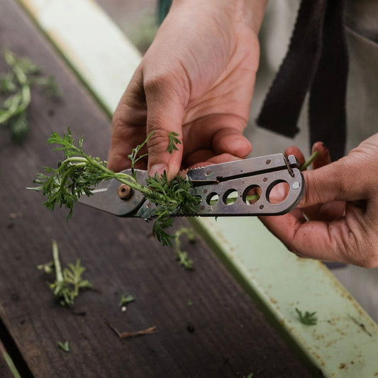 Herb Harvest and Strip Tool